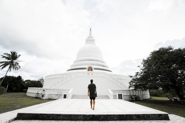 Sri Lanka Travel Guide – Beaches, Temples & Wildlife Wonders